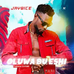 Jay9ice - Oluwa Bueshi